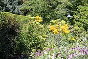 67 - Butchard Gardens  - IMG_1665